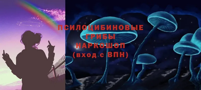 где найти   Севастополь  Галлюциногенные грибы MAGIC MUSHROOMS 